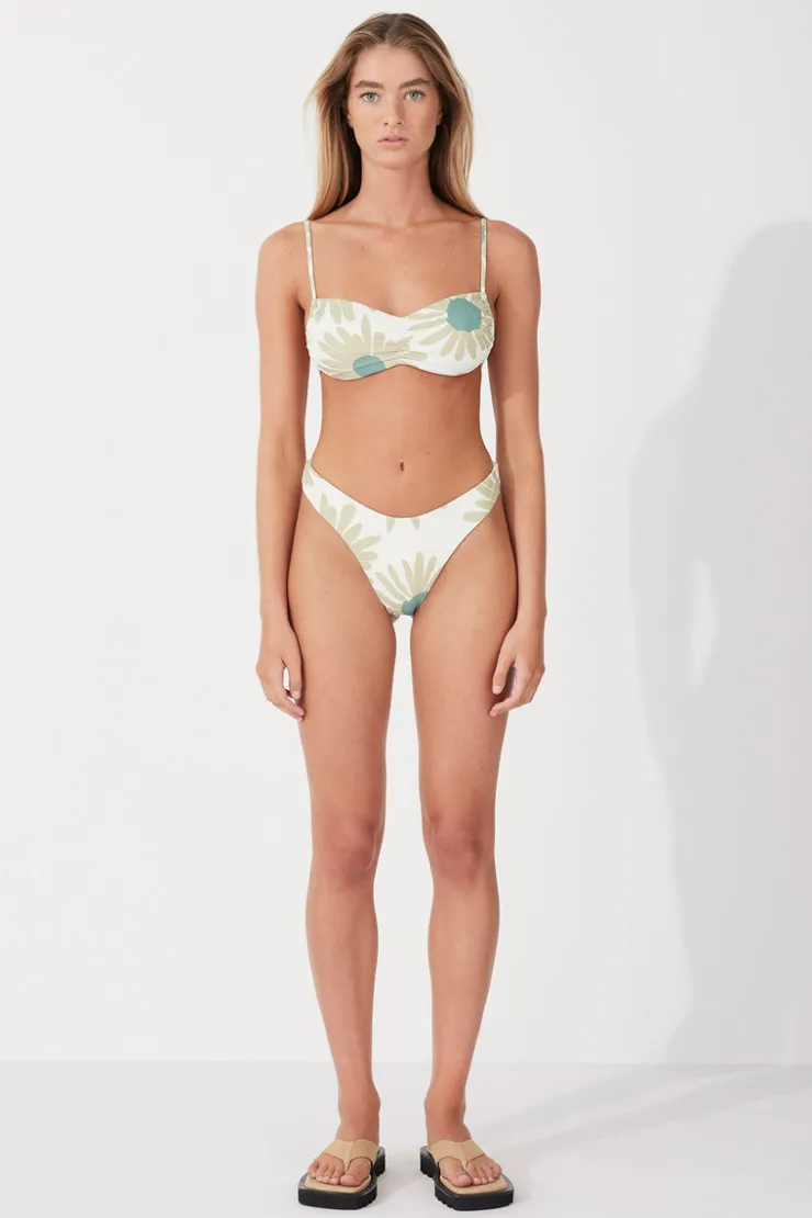 Aloe Flower Curve Thong Brief^Zulu & Zephyr Sale