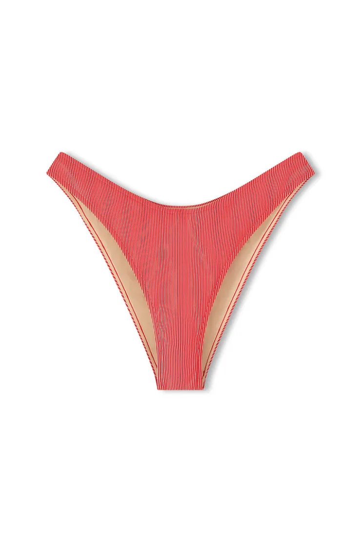 Signature Stripe Curve Brief - Chilli Red^Zulu & Zephyr Store
